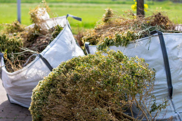 Best Scrap Metal Removal  in New Kingman Butler, AZ